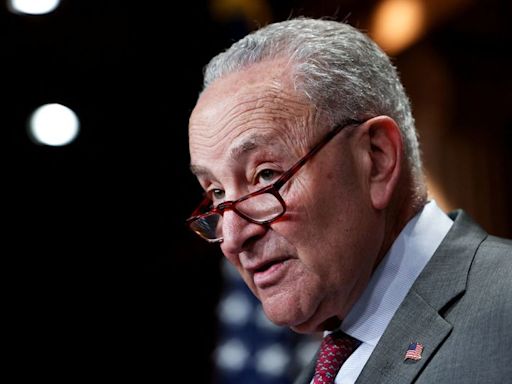 Schumer and Senate Democrats call for Justice Department to probe Big Oil for alleged collusion