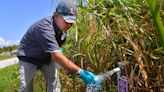 UF study: Reclaimed water 'major' source of toxic 'forever' chemicals in Brevard soils
