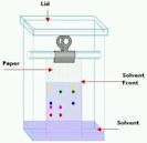 Paper chromatography