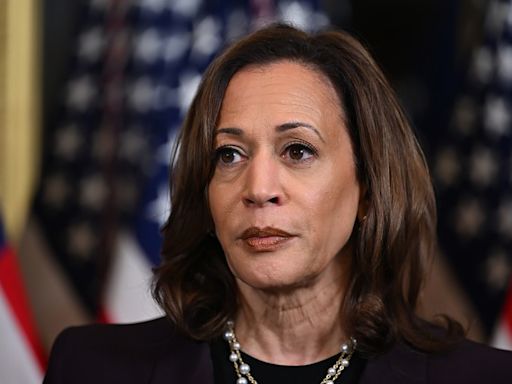 Behind hoopla, Democrats anxious about Harris