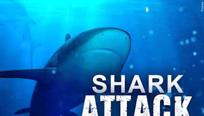 Senator introduces shark attack warning bill in honor of Lulu Gribbin from Alabama - WDEF