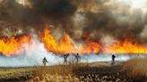 Un año catastrófico por los incendios forestales: dejan en la atmósfera toneladas de CO2