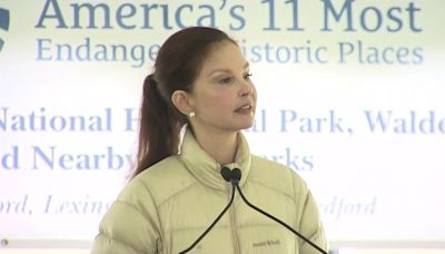 Actress Ashley Judd speaks against expansion of Hanscom Field in Concord - Boston News, Weather, Sports | WHDH 7News