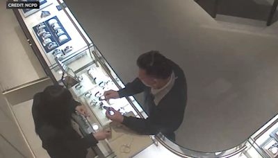 Video shows accused international jewelry thief swiping $17,000 watch from Long Island store, police say