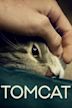 Tomcat (2016 film)