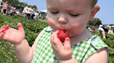 Strawberry Festival is May 25