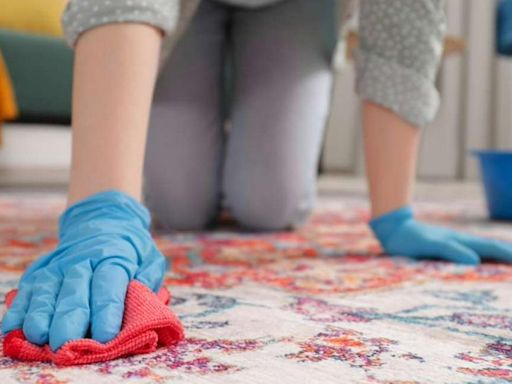 Cómo limpiar las alfombras en casa, en seco y sin necesidad de lavandería: pasos a la mano