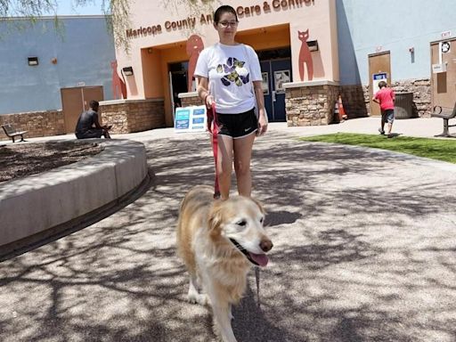 ThunderShirts, dance parties and anxiety meds can help ease dogs’ July Fourth dread