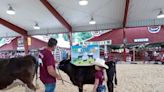 The Wayne County Fair 4-H, FFA Junior Livestock Sale is one of the biggest in the state