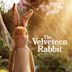 The Velveteen Rabbit (TV special)