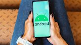 'Why on earth do we need this?': Android users baffled by bizarre Google feature