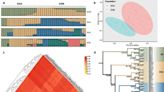 Tea crop saviors: genomic insights into the tea gr | Newswise