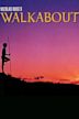 Walkabout (film)