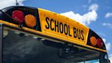 Pa. school bus driver slams breaks, injuring children: police