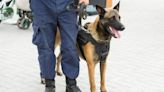 Police Dog Saves Cop in Shootout