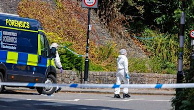 Clifton Suspension Bridge incident: Eyewitness tells of moment man ran off after dumping suitcases