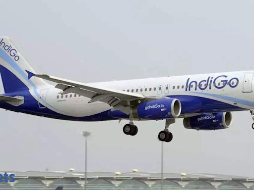 IndiGo profit falls on higher cost on older planes