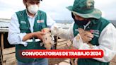 ¿Buscas trabajo? Senasa ofrece empleos con sueldos de hasta S/5.114 en Lima, Ica, Cusco y más: LINK para postular