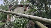 Whitehall man narrowly escapes being crushed by tree falling into home during Tuesday morning storms