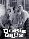 Dobie Gillis