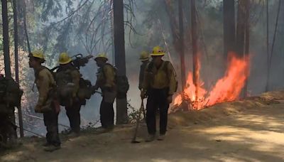 Canyon Fire erupts in Tuolumne County, prompts some evacuation orders