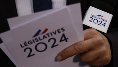 Législatives 2024 dans la Vienne : Une candidate RN complotiste en lice