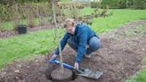 Celebrate Arbor Day by planting a tree