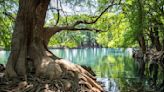 La leyenda del lago de Las Lágrimas en Michoacán