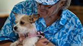 Metro Phoenix program works to keep pets with owners experiencing homelessness