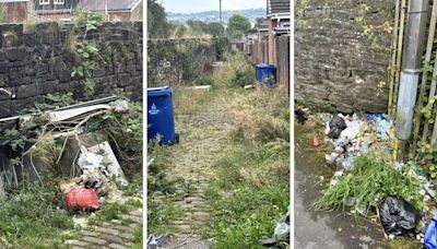 Resident calls out ‘disgraceful’ littering and fly tipping on streets