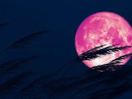 Cuándo es la próxima luna llena y cómo y dónde ver la luna rosa 2024