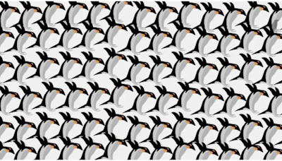 Brain teaser: Do you see a crow hidden amongst so many cute penguins? - Times of India