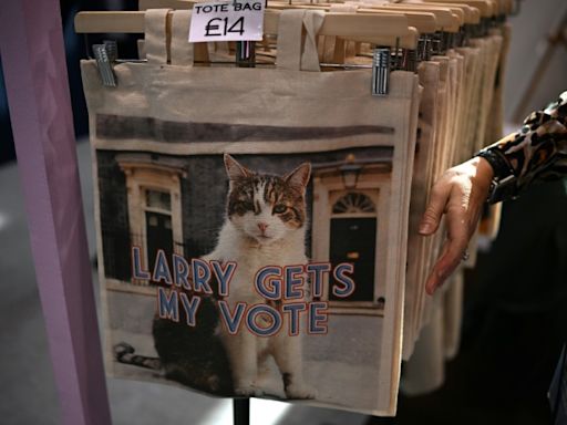 Britain's true ruler? Larry the Downing Street cat