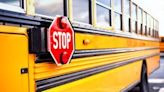 ‘Where’s my child?’ Mother panicked after 6-year-old daughter mistakenly gets put on school bus