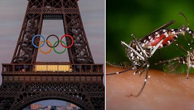 Preocupación en Francia por el crecimiento del dengue de cara a los Juegos Olímpicos