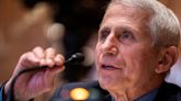 Fauci: Covid Restrictions Should Have Been ‘Much, Much More Stringent’
