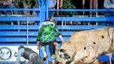 Carrizozo bullfighter runs into danger saving bull riders from large beasts