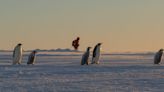 This robot lives with an Antarctica penguin colony, monitoring their every move