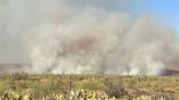 Wildfire in Arizona endangering saguaro and desert plants - KYMA