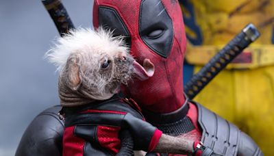 ‘Deadpool & Wolverine’ Clears $438 Million Globally in First Weekend