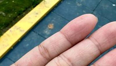 台南恐怖特色遊戲場暗藏鋼釘 今年已5起幼童受傷