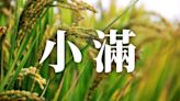 24節氣小滿：習俗、禁忌、諺語、天氣、養生重點一次看