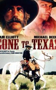 Gone to Texas (film)