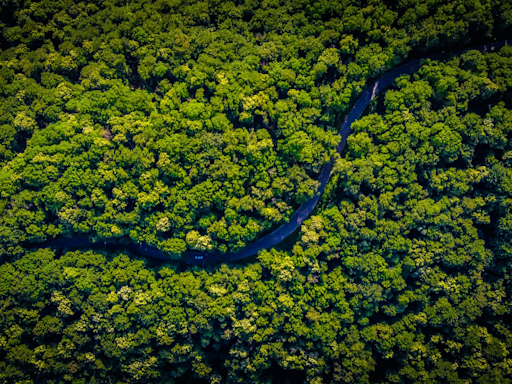 Who Are The Mashco Piro? Uncontacted Tribe In Peruvian Amazon Faces Habitat Crisis With Logging Set To ...