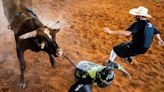 This ain't no bull: No. 1 ranked Austin Gamblers gear up for PBR Gambler Days