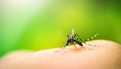 Niagara County Health Department confirms first case of West Nile Virus this year