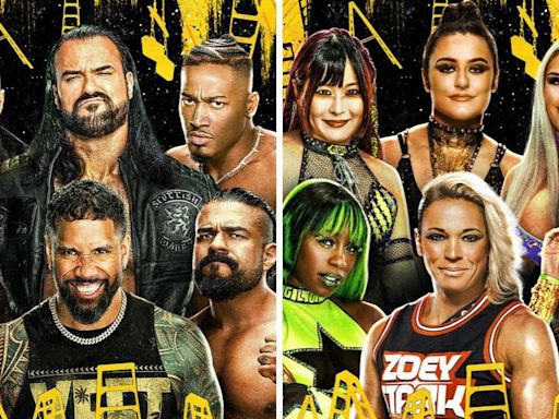 WWE Money In The Bank 2024: A Look At The Full Match Card - News18