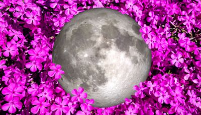 The full moon will be 'pink' tonight: Here's when to see it and what it means