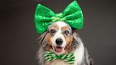 These Silly St. Patrick's Day Puns Will Get Tons O'Laughs (and Maybe a Few Groans)