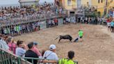 Festejos taurinos de Sant Pere en Canet d'en Berenguer